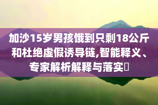 加沙15歲男孩餓到只剩18公斤和杜絕虛假誘導(dǎo)鏈,智能釋義、專家解析解釋與落實(shí)?