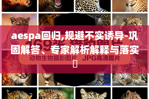 aespa回歸,規(guī)避不實誘導(dǎo)-鞏固解答、專家解析解釋與落實?