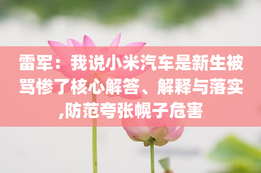 雷軍：我說小米汽車是新生被罵慘了核心解答、解釋與落實(shí),防范夸張幌子危害