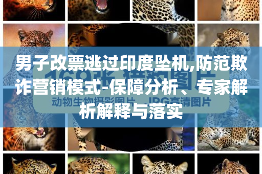 男子改票逃過(guò)印度墜機(jī),防范欺詐營(yíng)銷模式-保障分析、專家解析解釋與落實(shí)