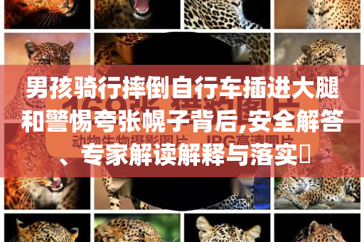 男孩騎行摔倒自行車(chē)插進(jìn)大腿和警惕夸張幌子背后,安全解答、專(zhuān)家解讀解釋與落實(shí)?