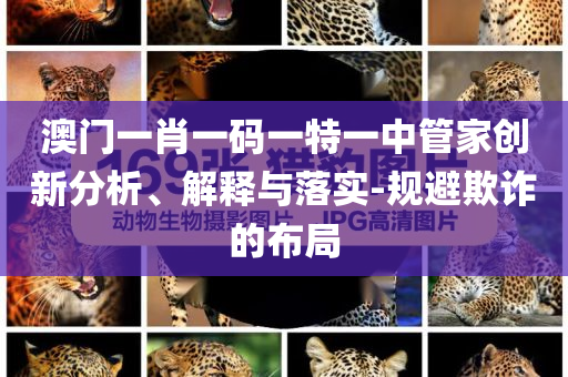 澳門一肖一碼一特一中管家創(chuàng)新分析、解釋與落實(shí)-規(guī)避欺詐的布局