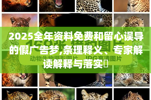 2025全年資料免費(fèi)和留心誤導(dǎo)的假?gòu)V告夢(mèng),條理釋義、專家解讀解釋與落實(shí)?