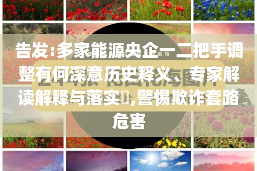 告發(fā):多家能源央企一二把手調(diào)整有何深意歷史釋義、專家解讀解釋與落實(shí)?,警惕欺詐套路危害