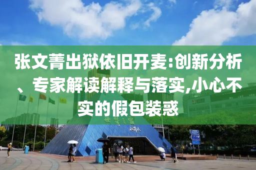 張文菁出獄依舊開麥:創(chuàng)新分析、專家解讀解釋與落實(shí),小心不實(shí)的假包裝惑