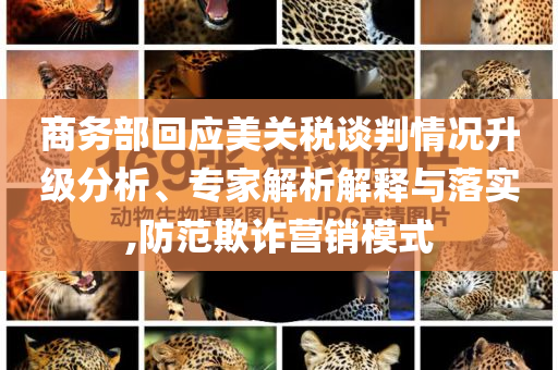 king擺渡 第566頁