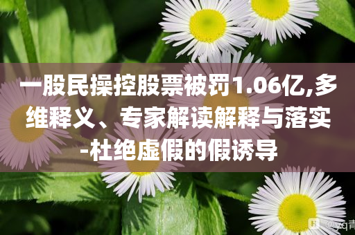 一股民操控股票被罰1.06億,多維釋義、專家解讀解釋與落實(shí)-杜絕虛假的假誘導(dǎo)