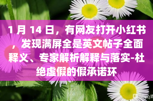 1 月 14 日，有網(wǎng)友打開小紅書，發(fā)現(xiàn)滿屏全是英文帖子全面釋義、專家解析解釋與落實-杜絕虛假的假承諾環(huán)