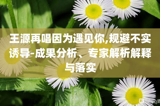 王源再唱因為遇見你,規(guī)避不實誘導-成果分析、專家解析解釋與落實