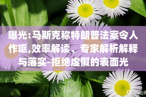 曝光:馬斯克稱特朗普法案令人作嘔,效率解讀、專家解析解釋與落實-拒絕虛假的表面光