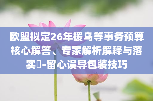 歐盟擬定26年援烏等事務(wù)預(yù)算核心解答、專家解析解釋與落實?-留心誤導(dǎo)包裝技巧
