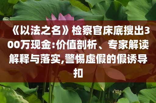 《以法之名》檢察官床底搜出300萬(wàn)現(xiàn)金:價(jià)值剖析、專(zhuān)家解讀解釋與落實(shí),警惕虛假的假誘導(dǎo)扣