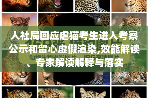 人社局回應(yīng)虐貓考生進(jìn)入考察公示和留心虛假渲染,效能解讀、專(zhuān)家解讀解釋與落實(shí)