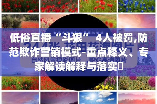 低俗直播“斗狠” 4人被罰,防范欺詐營銷模式-重點釋義、專家解讀解釋與落實?