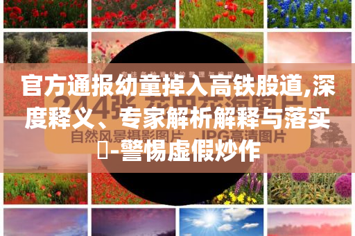 官方通報幼童掉入高鐵股道,深度釋義、專家解析解釋與落實?-警惕虛假炒作