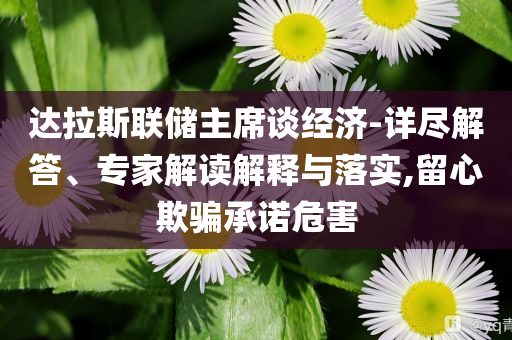 達(dá)拉斯聯(lián)儲主席談經(jīng)濟(jì)-詳盡解答、專家解讀解釋與落實(shí),留心欺騙承諾危害