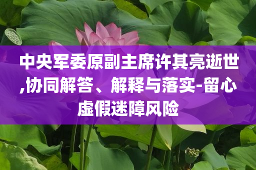 中央軍委原副主席許其亮逝世,協(xié)同解答、解釋與落實-留心虛假迷障風險