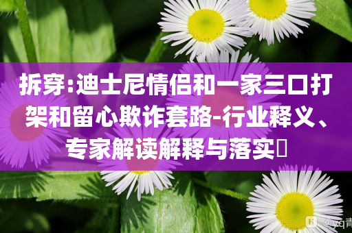 拆穿:迪士尼情侶和一家三口打架和留心欺詐套路-行業(yè)釋義、專家解讀解釋與落實?