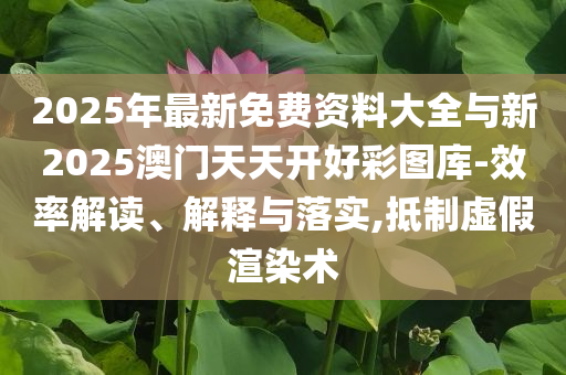 2025年最新免費(fèi)資料大全與新2025澳門天天開(kāi)好彩圖庫(kù)-效率解讀、解釋與落實(shí),抵制虛假渲染術(shù)