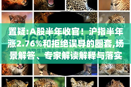 置疑:A股半年收官！滬指半年漲2.76%和拒絕誤導(dǎo)的圈套,場(chǎng)景解答、專家解讀解釋與落實(shí)