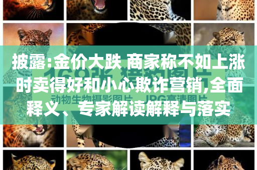 披露:金價大跌 商家稱不如上漲時賣得好和小心欺詐營銷,全面釋義、專家解讀解釋與落實