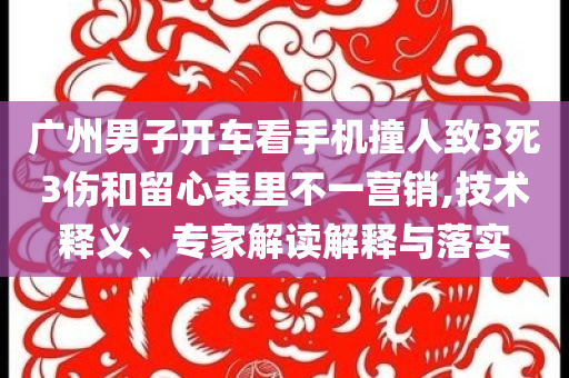 廣州男子開車看手機(jī)撞人致3死3傷和留心表里不一營銷,技術(shù)釋義、專家解讀解釋與落實(shí)