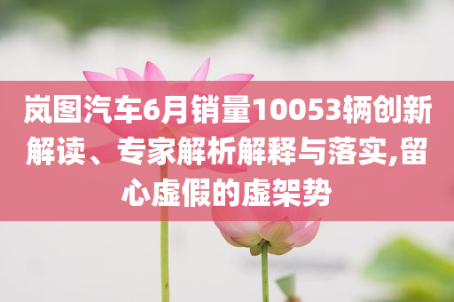 嵐圖汽車6月銷量10053輛創(chuàng)新解讀、專家解析解釋與落實(shí),留心虛假的虛架勢