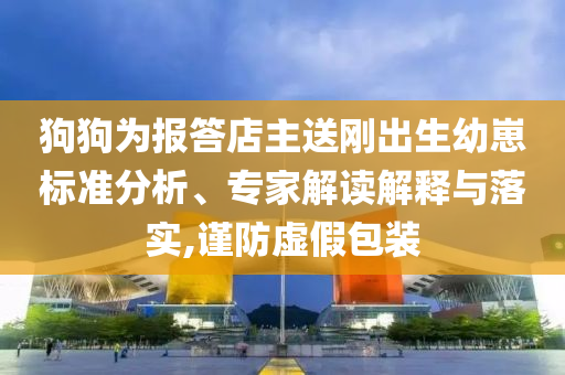 狗狗為報答店主送剛出生幼崽標準分析、專家解讀解釋與落實,謹防虛假包裝