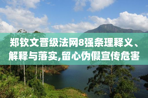 鄭欽文晉級(jí)法網(wǎng)8強(qiáng)條理釋義、解釋與落實(shí),留心偽假宣傳危害