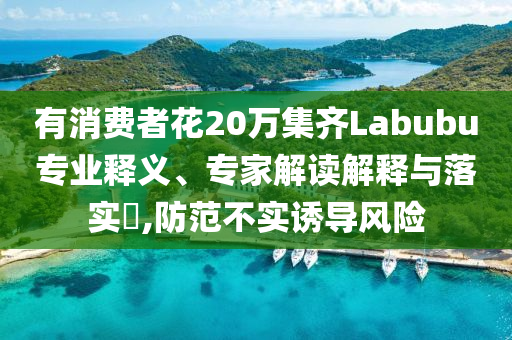 有消費者花20萬集齊Labubu專業(yè)釋義、專家解讀解釋與落實?,防范不實誘導(dǎo)風(fēng)險