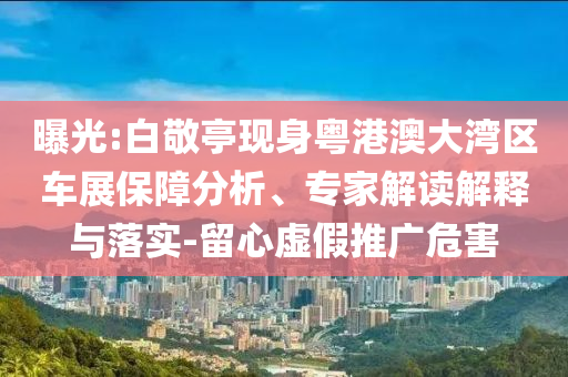 曝光:白敬亭現(xiàn)身粵港澳大灣區(qū)車展保障分析、專家解讀解釋與落實-留心虛假推廣危害