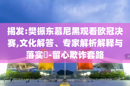 揭發(fā):樊振東慕尼黑觀看歐冠決賽,文化解答、專家解析解釋與落實?-留心欺詐套路