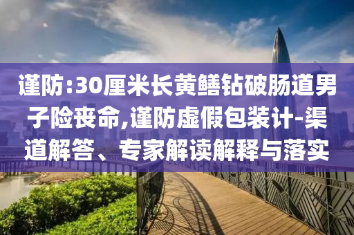 謹防:30厘米長黃鱔鉆破腸道男子險喪命,謹防虛假包裝計-渠道解答、專家解讀解釋與落實