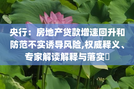 央行：房地產(chǎn)貸款增速回升和防范不實(shí)誘導(dǎo)風(fēng)險,權(quán)威釋義、專家解讀解釋與落實(shí)?