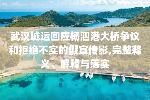 武漢城運(yùn)回應(yīng)楊泗港大橋爭議和拒絕不實(shí)的假宣傳影,完整釋義、解釋與落實(shí)