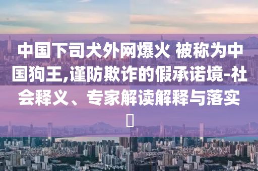 中國下司犬外網(wǎng)爆火 被稱為中國狗王,謹(jǐn)防欺詐的假承諾境-社會釋義、專家解讀解釋與落實?