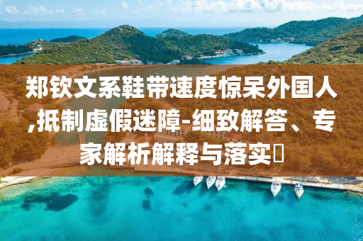 鄭欽文系鞋帶速度驚呆外國(guó)人,抵制虛假迷障-細(xì)致解答、專(zhuān)家解析解釋與落實(shí)?