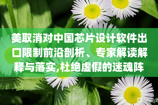 美取消對(duì)中國(guó)芯片設(shè)計(jì)軟件出口限制前沿剖析、專家解讀解釋與落實(shí),杜絕虛假的迷魂陣