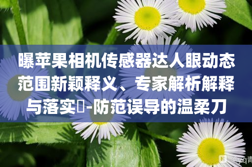 曝蘋果相機(jī)傳感器達(dá)人眼動(dòng)態(tài)范圍新穎釋義、專家解析解釋與落實(shí)?-防范誤導(dǎo)的溫柔刀