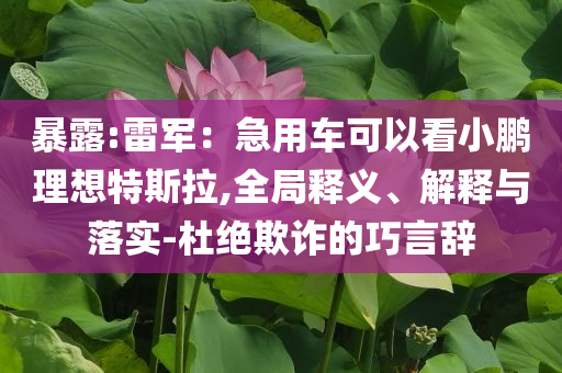 暴露:雷軍：急用車(chē)可以看小鵬理想特斯拉,全局釋義、解釋與落實(shí)-杜絕欺詐的巧言辭