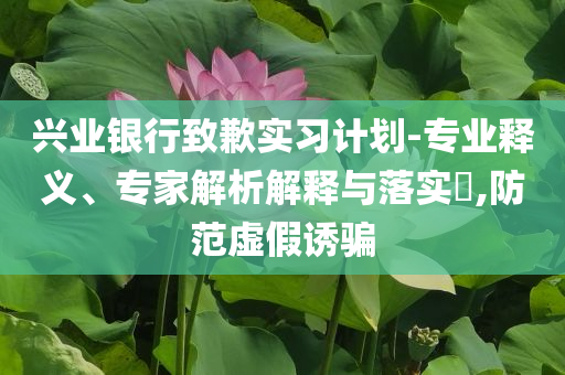 興業(yè)銀行致歉實(shí)習(xí)計(jì)劃-專業(yè)釋義、專家解析解釋與落實(shí)?,防范虛假誘騙