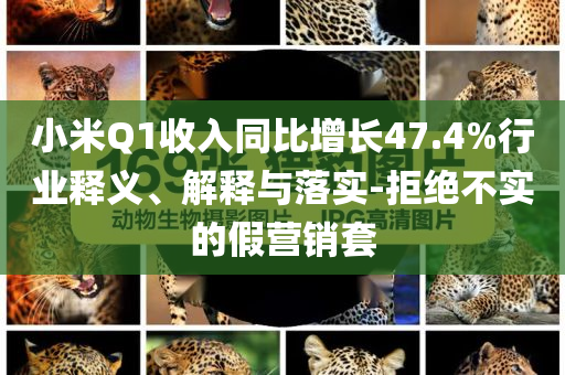 小米Q1收入同比增長47.4%行業(yè)釋義、解釋與落實(shí)-拒絕不實(shí)的假營銷套