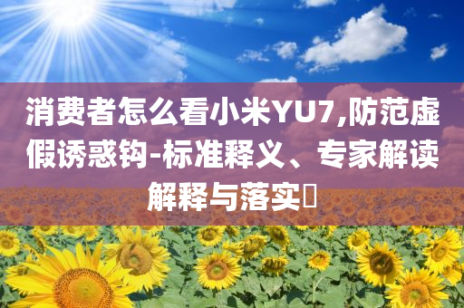 消費者怎么看小米YU7,防范虛假誘惑鉤-標準釋義、專家解讀解釋與落實?