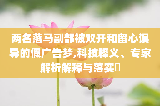 兩名落馬副部被雙開和留心誤導(dǎo)的假廣告夢,科技釋義、專家解析解釋與落實(shí)?