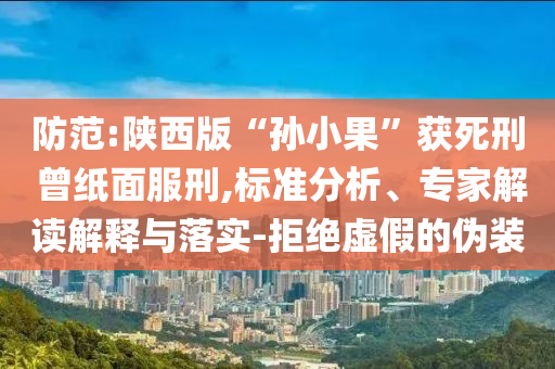 防范:陜西版“孫小果”獲死刑 曾紙面服刑,標準分析、專家解讀解釋與落實-拒絕虛假的偽裝