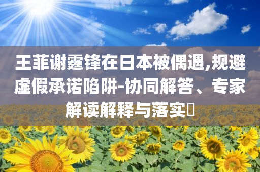 王菲謝霆鋒在日本被偶遇,規(guī)避虛假承諾陷阱-協(xié)同解答、專家解讀解釋與落實?