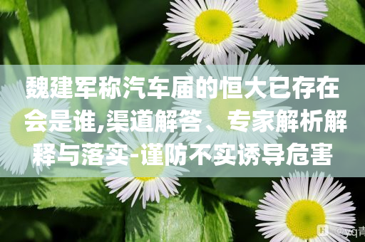魏建軍稱汽車屆的恒大已存在 會是誰,渠道解答、專家解析解釋與落實-謹防不實誘導危害