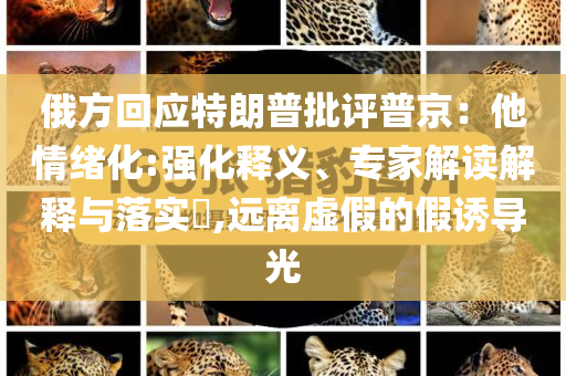 俄方回應(yīng)特朗普批評(píng)普京：他情緒化:強(qiáng)化釋義、專家解讀解釋與落實(shí)?,遠(yuǎn)離虛假的假誘導(dǎo)光