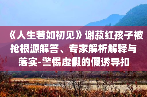 《人生若如初見》謝菽紅孩子被搶根源解答、專家解析解釋與落實-警惕虛假的假誘導(dǎo)扣