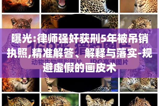 曝光:律師強奸獲刑5年被吊銷執(zhí)照,精準解答、解釋與落實-規(guī)避虛假的畫皮術